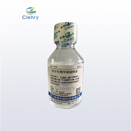 分子生物學級超純水